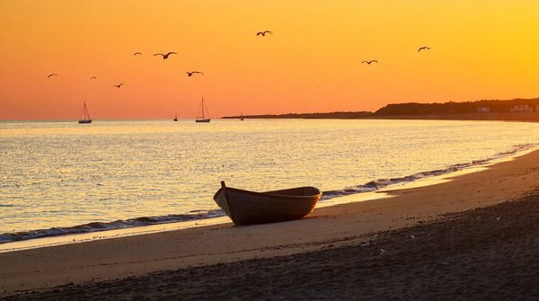 Découvrez la gastronomie marine au baligan à cabourg